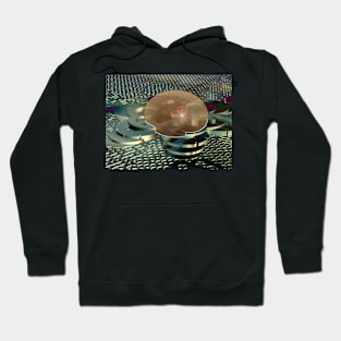 Silver Springs Suburban SkyMall Hoodie